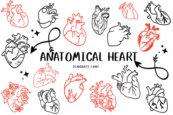 Anatomical Heart 1 Font
