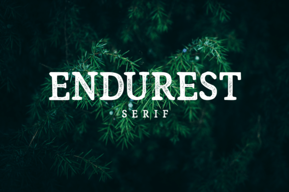 Endurest: A Font That Lasts