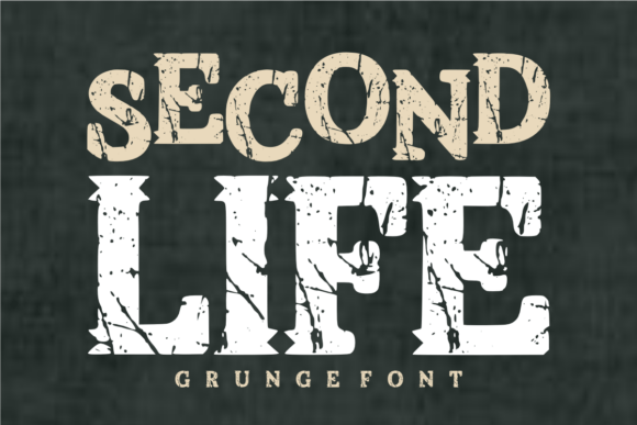 Second Life Font for Business